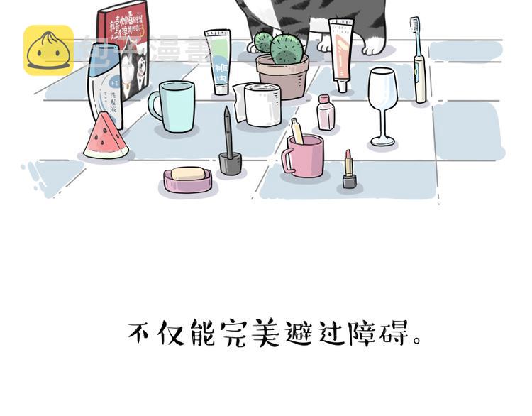 第263话 没心没肺的快乐19