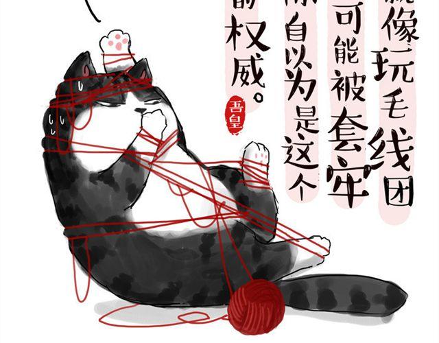 第15话 猫引发的朋友圈惨案1