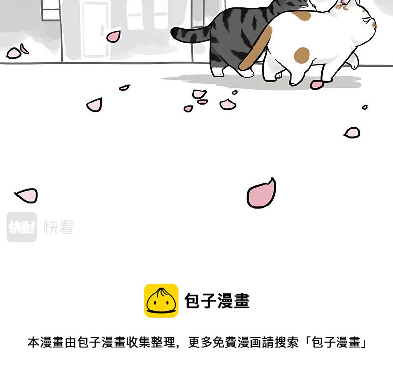 第324话 春天转瞬即逝53