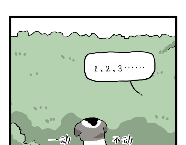 第267话 不让你流浪86