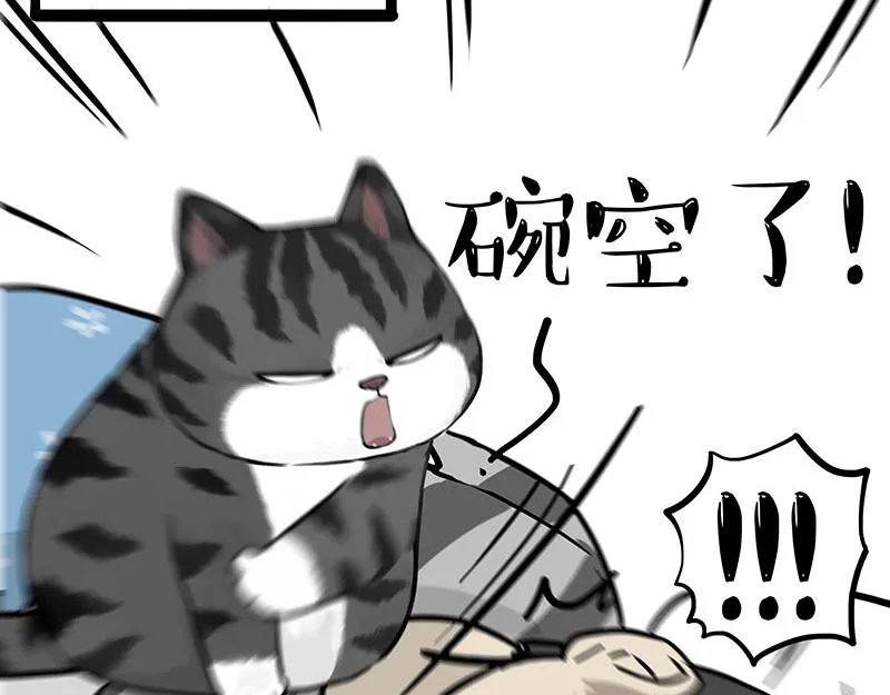 第390话 “生物钟”38
