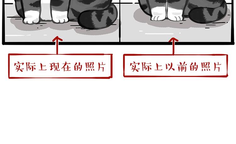 第233话 你太飘了17