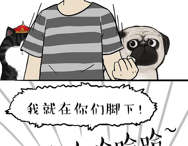第73话 你才是肥仔嘞23