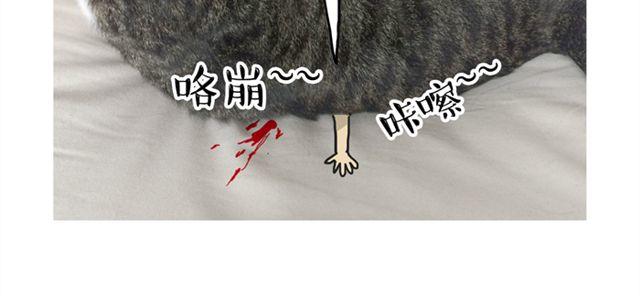 第14话 缩小后最容易遇见什么12