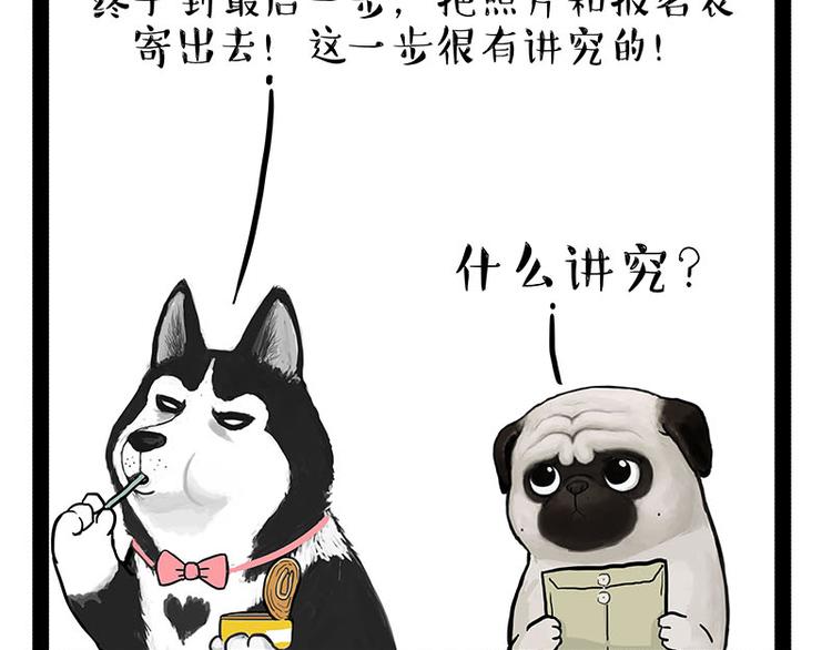 第230话 巴扎黑进娱乐圈？21
