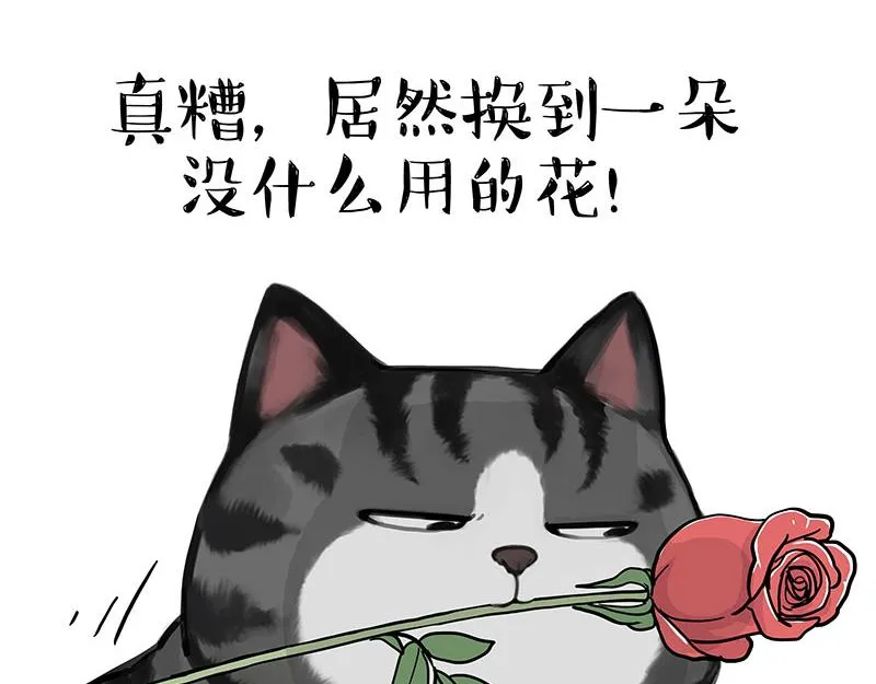 第377话 谢谢小猫咪18