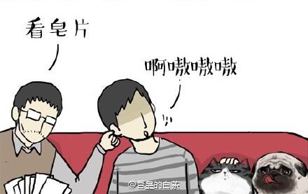 第22话 全民CP时代！11