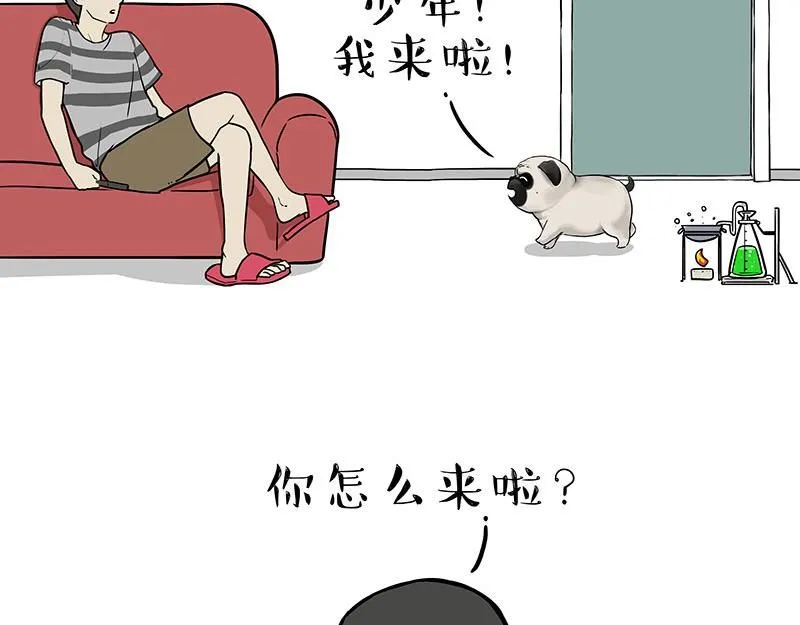 第384话 猫猫代打25
