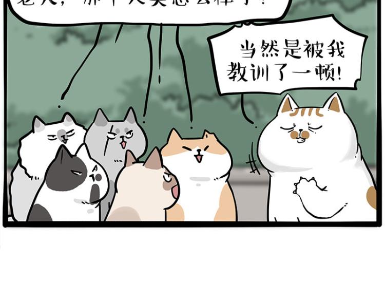 第290话 凶恶猫猫组织64