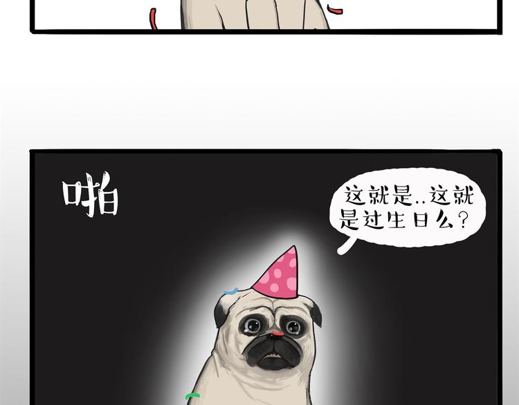 第57话 宠物太粘人是什么体验19