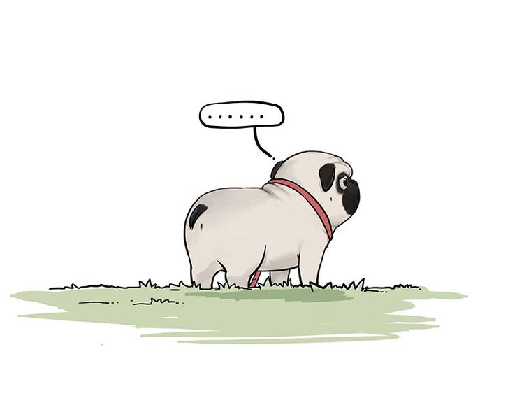 第262话 忠犬巴扎黑？！53
