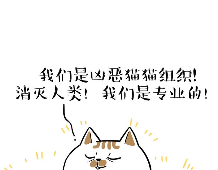 第290话 凶恶猫猫组织51