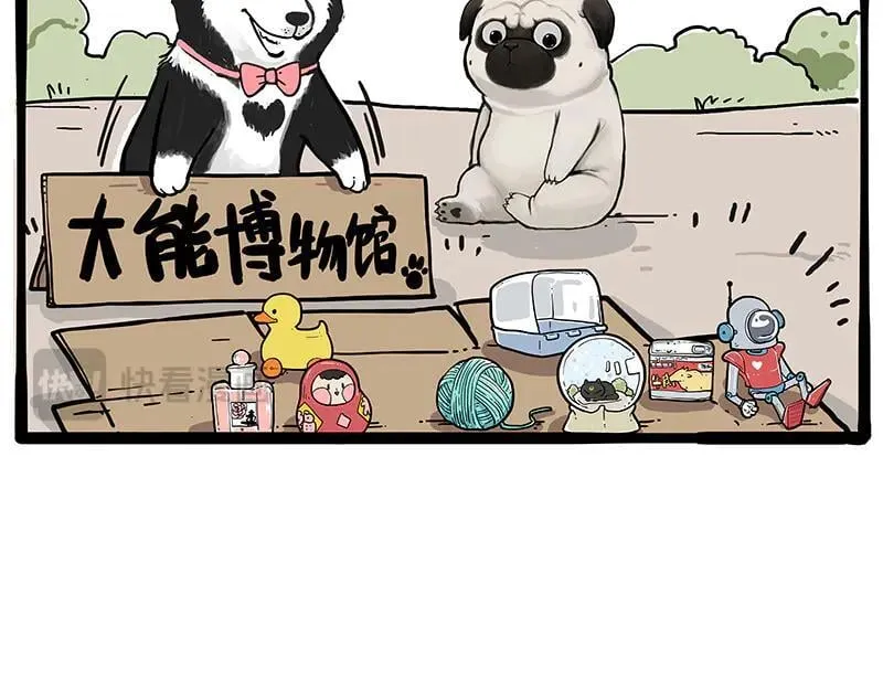 第425话 开门大吉19