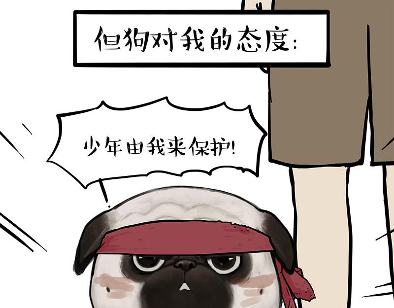 第394话 养狗指南32