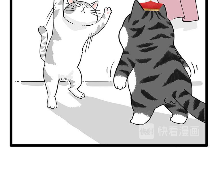 第254话 摔角大赛谁与争锋30