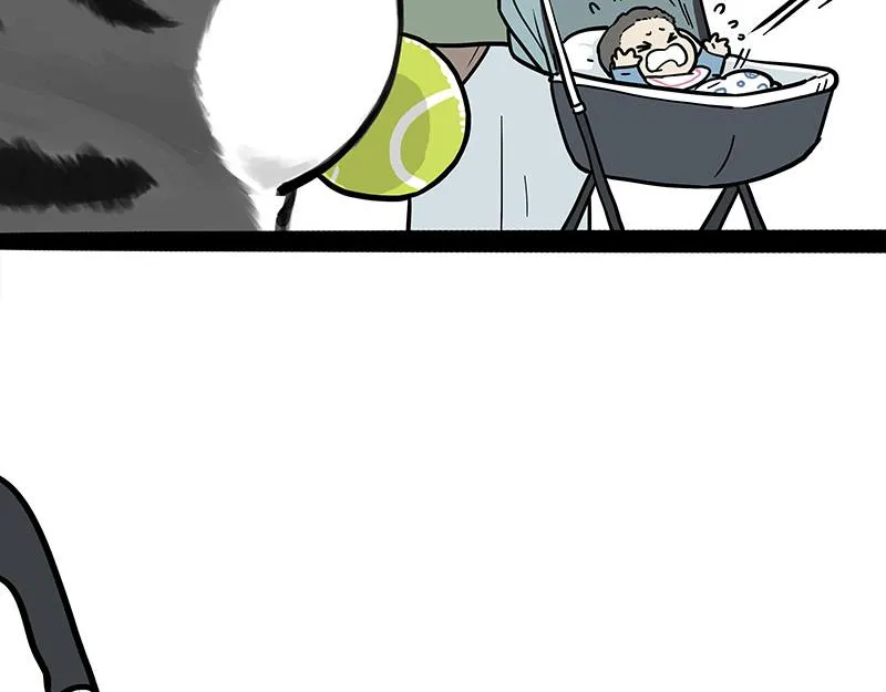 第377话 谢谢小猫咪3