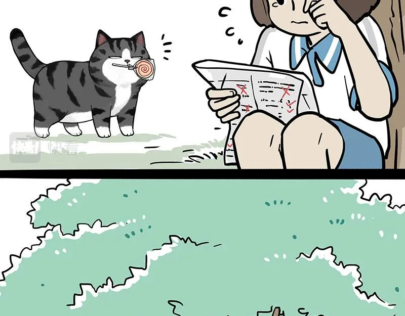 第377话 谢谢小猫咪8