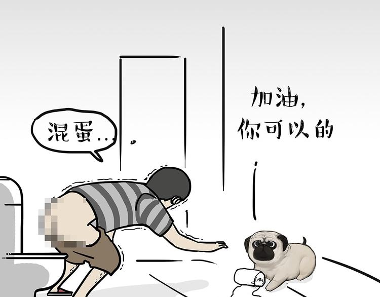 第52话 宠物的使命6