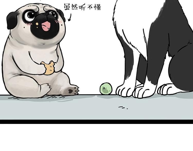 第207话 巴扎黑丢了？！29