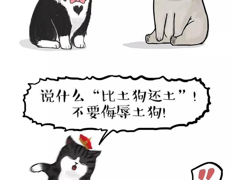 第227话 丑狗宿命1