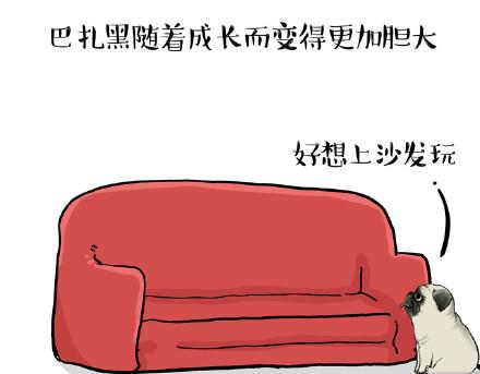 第23话 这是巴扎黑的专场！20