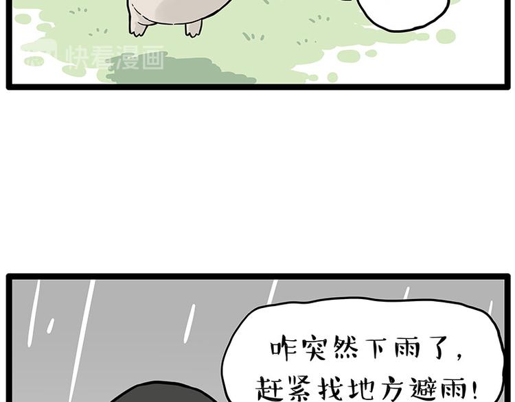 第252话 秃头帅哥57