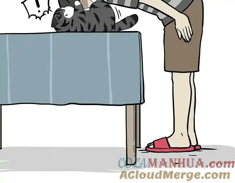 第382话 开心就好15