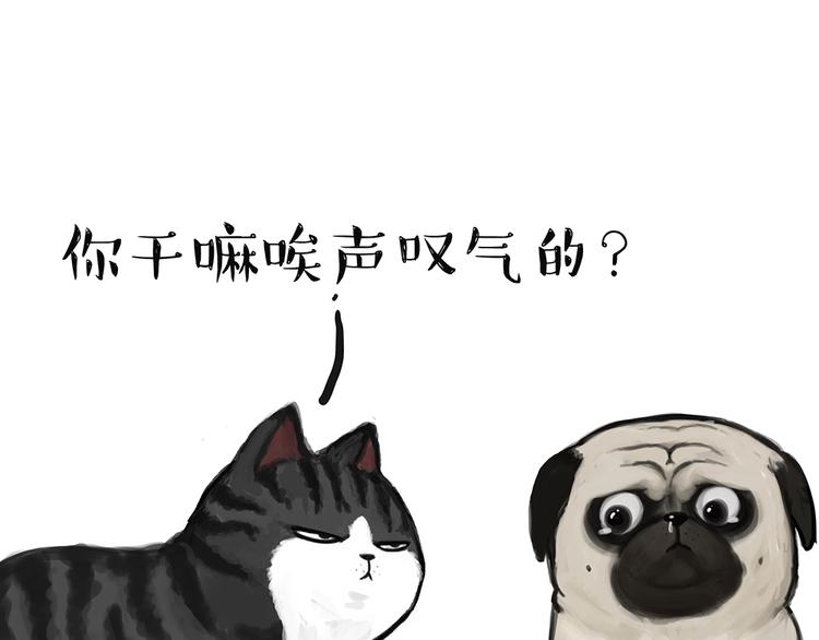 第49话 只见新人笑未闻旧人哭18