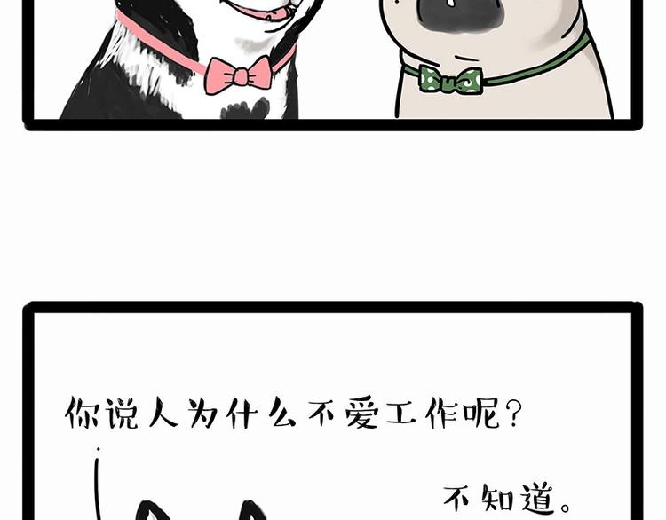第194话 生活不易，猫狗打工23