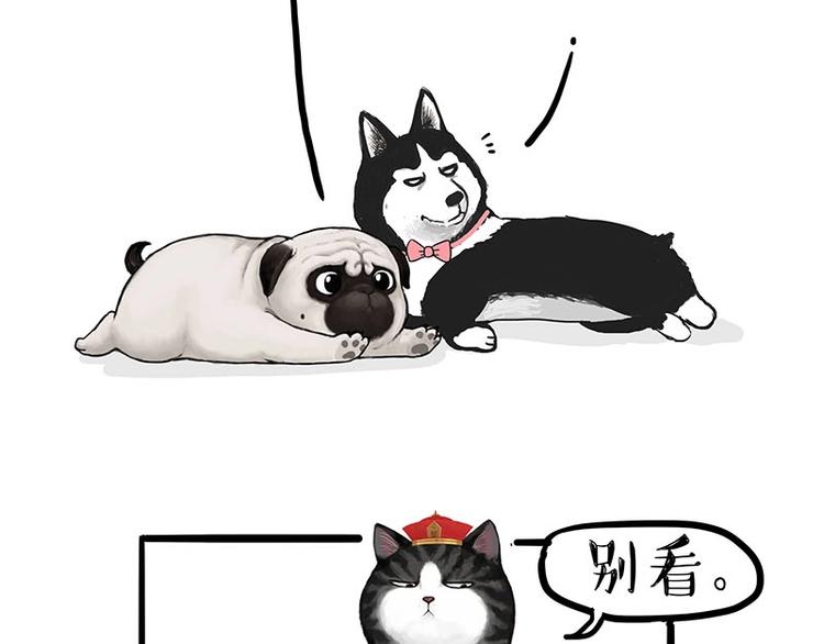 第155话 狗之礼仪2