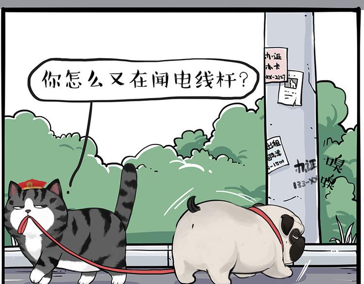 第258话 靠脸吃饭2