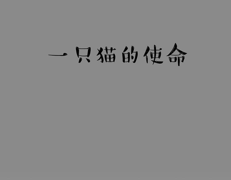第52话 宠物的使命15