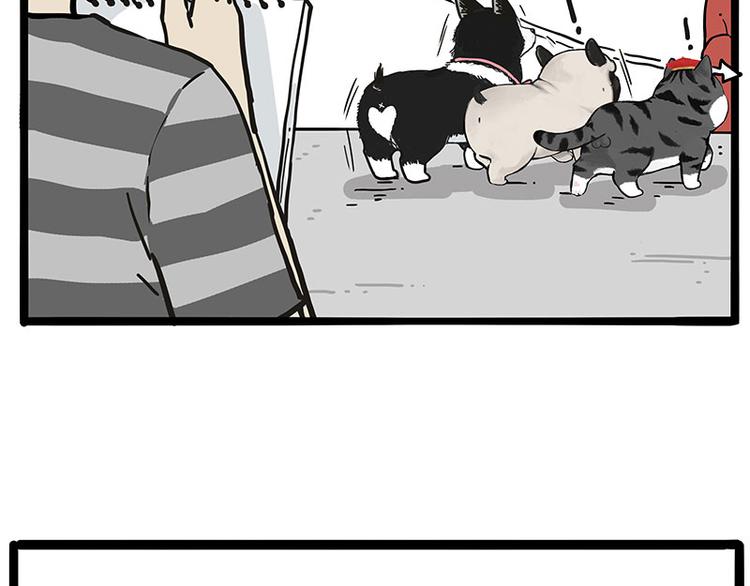 第233话 你太飘了22