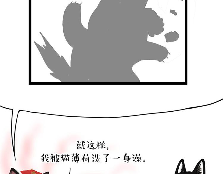 第284话 美喵竟是我自己4