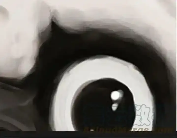 第222话 最终话的事92