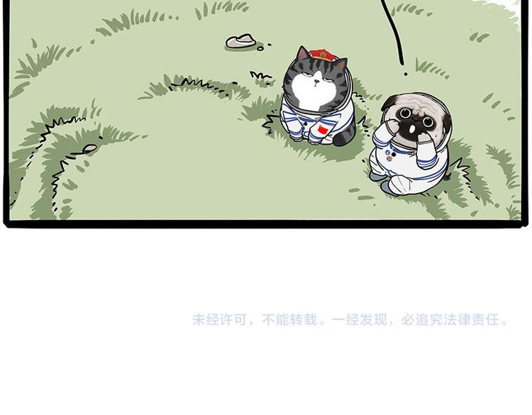 第245话 真上天了88