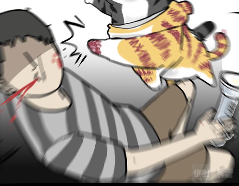 第296话 披着虎皮的猫10