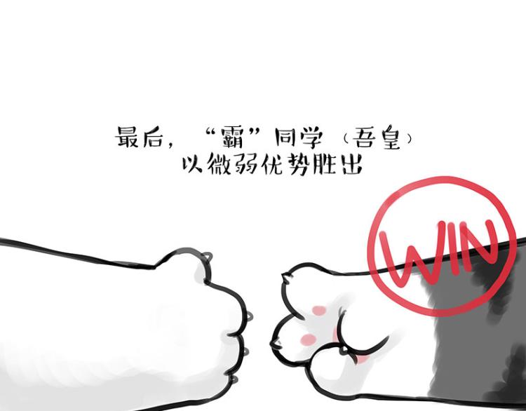 第291话 好兄弟，一辈子13