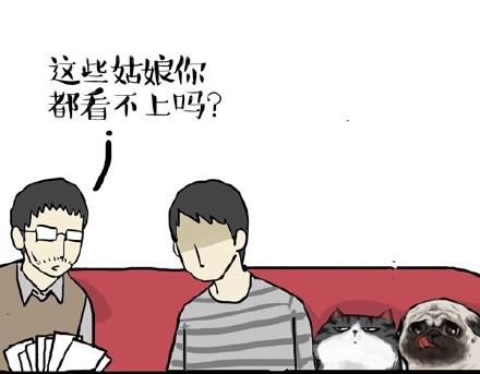 第22话 全民CP时代！21
