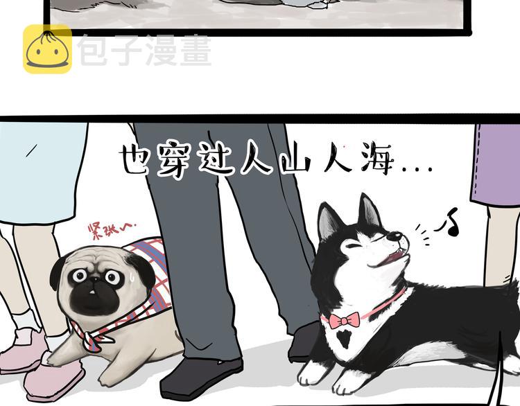 第116话 离家出走15