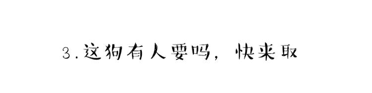 第215话 狗不要了36