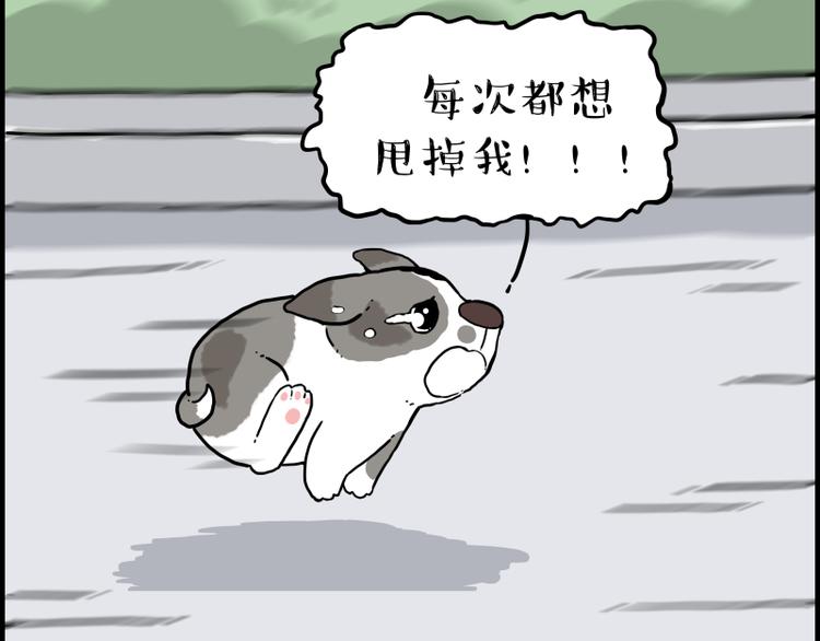 第267话 不让你流浪62