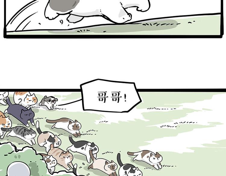 第271话 进击的流浪猫！30