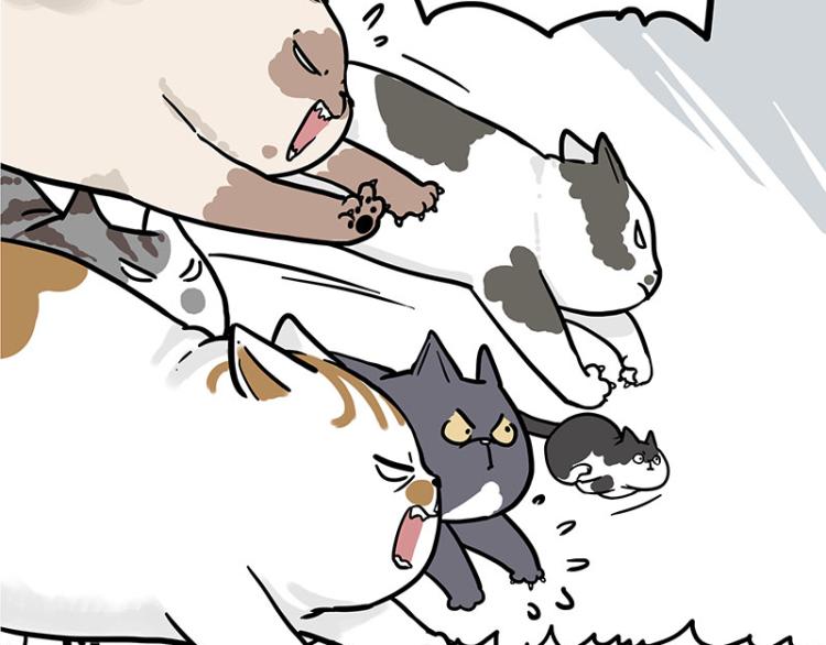 第290话 凶恶猫猫组织27