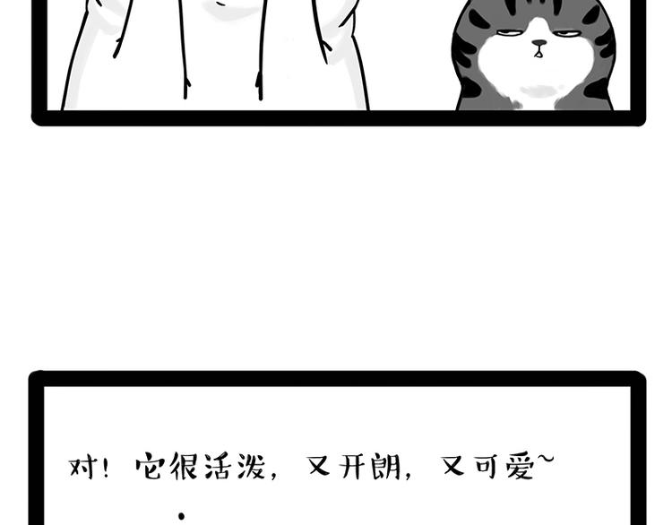 第238话 吾皇的爱情“喵”招12