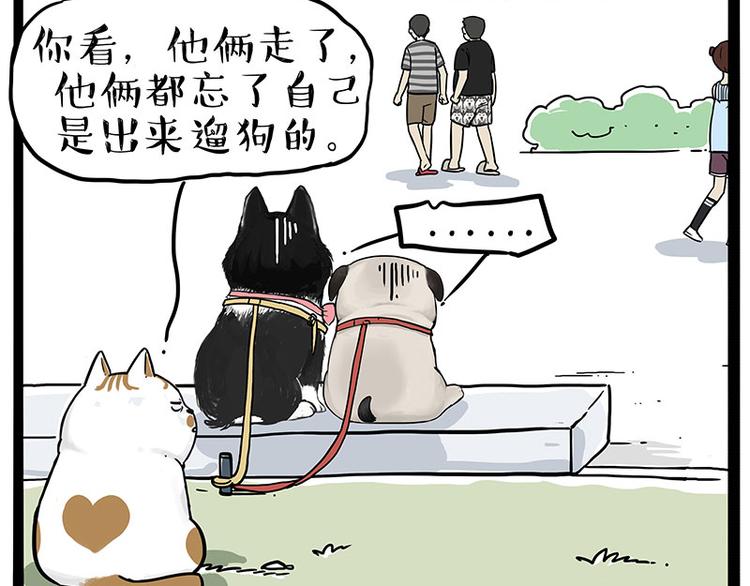 第223话 狗知识增加了14