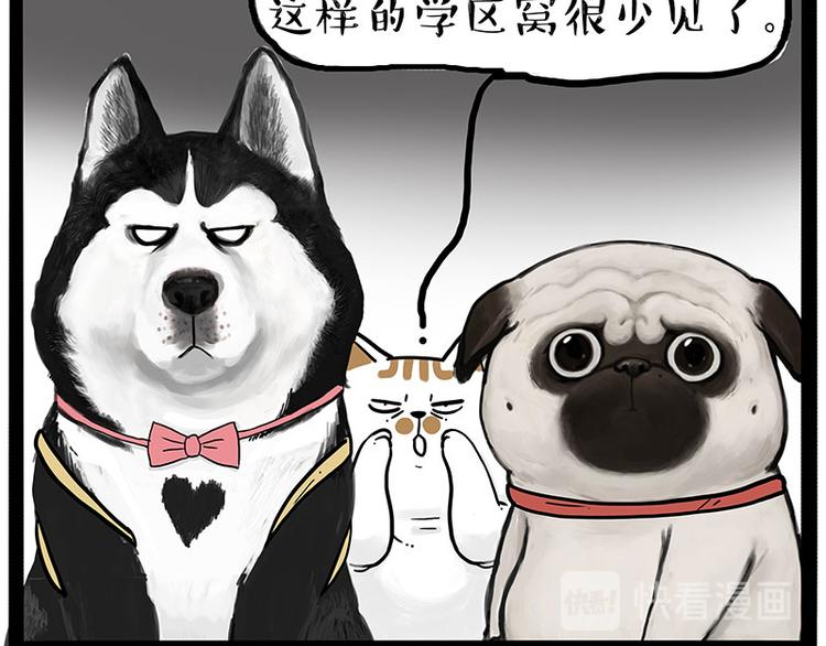 第223话 狗知识增加了27