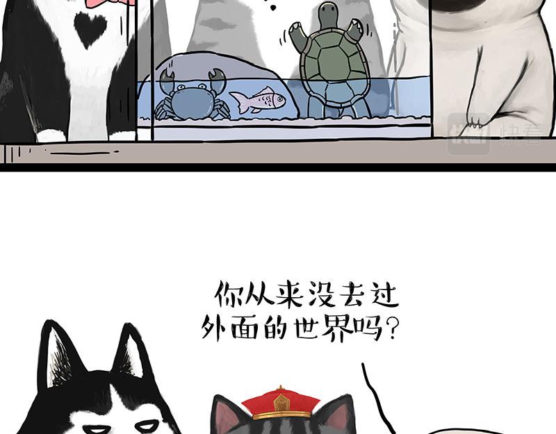 第298话 龟与狗与世界15