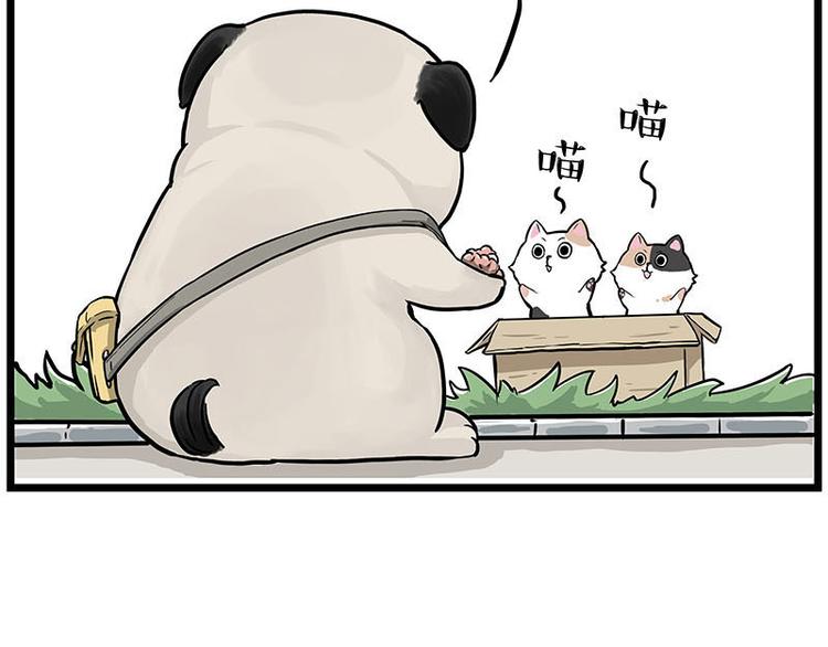 第239话 “屁”的战争37