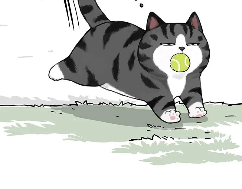 第377话 谢谢小猫咪1